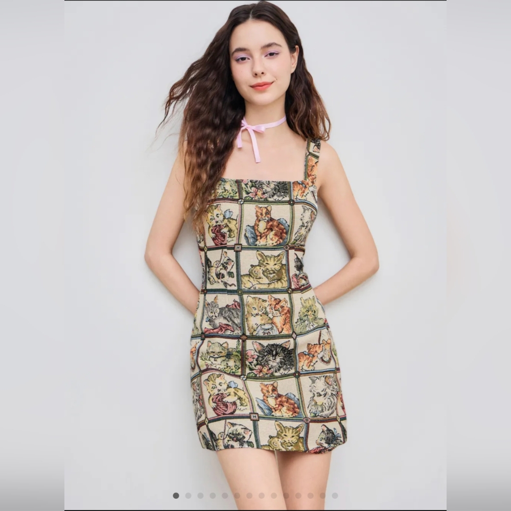 BNWT SOLD Out Cider Cat Lover Dress L
